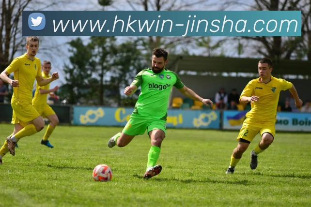 澳门金沙官网平台生态图